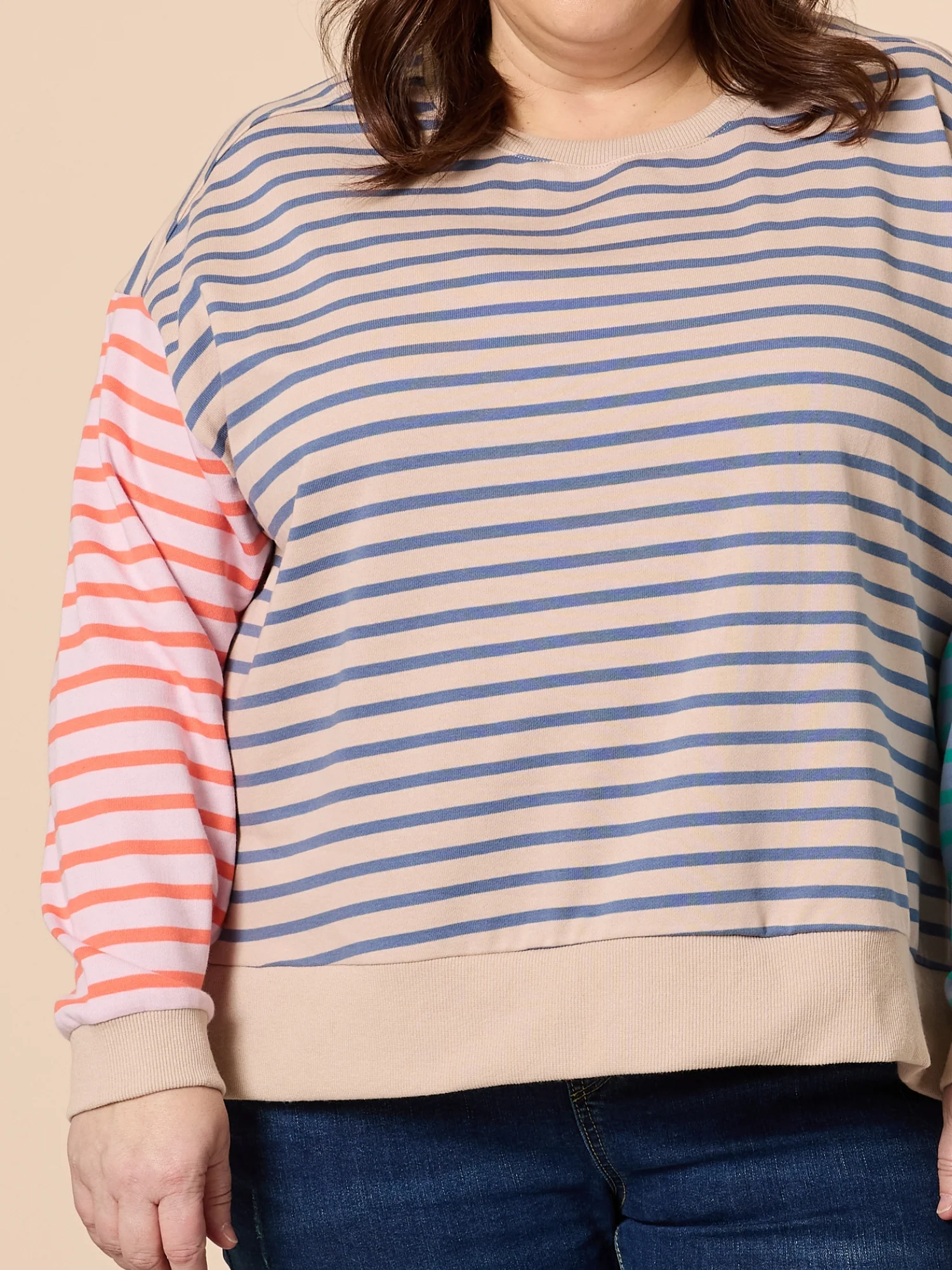 Maxwell Stripe Print Sweat - Blue/Multi - Image 3